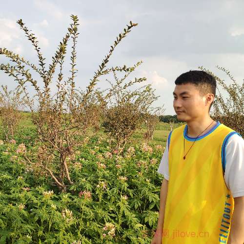 37岁岁广东单身帅哥 - 潍坊吉缘网